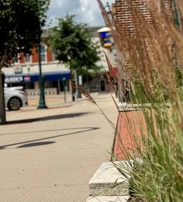Just a little downtown daydream… 🌸🌿
From blooming baskets to ivy-covered charm, every corner of Sycamore is full of small-town beauty and big character. 💛
 
Come stroll with us—there’s something picture-perfect around every turn.
 
#DiscoverSycamore #DowntownCharm #PicturePerfectSycamore #SmallTownMagic #ShopSycamore